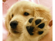 城北通り動物病院松江