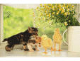 岡本動物病院