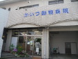 かいづ動物病院