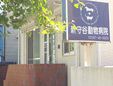 新守谷動物病院