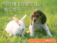 南浦和動物病院