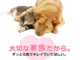 コジマ動物病院