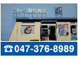 コルトン動物病院
