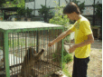 動物保護施設ペットランド姫路