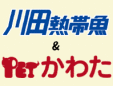 有限会社川田熱帯魚新居浜本店