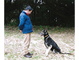 アヅマランド使役犬訓練所