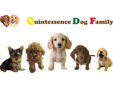 クインテッセンス・ドッグ・ファミリー
